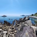 스트로마톨라이트 이미지