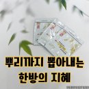 지혜병원 | 이명래고약 엉덩이종기 통증 잡는 후기 100년지혜