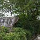 유림목장 이미지