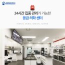 금쪽금쪽금쪽반려동물병원 이미지