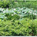 충주자연생태체험관 이미지