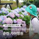 신대농장 | 순천 가야정원 수국 개화 후기, 아이·부모님과 걷기 좋은 감성 농장