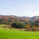 필드로 골프 네이버블로그