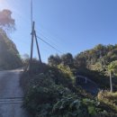 이진무묘 이미지