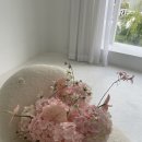 정원옷수선 - 수원시 장안구 덕영대로417번길 26 | [공지] [세미 웨딩촬영] 90만 원대로 야외+정원씬까지 소율 스튜디오 내돈내산 대만족 후기