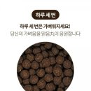 오늘도 맑음 - 장성군 | 오늘도 맑음
