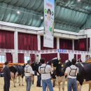 경진목장 | 제11회 서울우유 홀스타인 경진대회 후기 입니다!