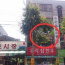 핑운동&힐링다이어트