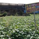 산들강웅포마을 이미지