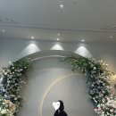 썬샤인유치원 | 대전 씨엘드포레 웨딩홀 계약 솔직후기 (장단점 포함) 최종의 최종 ver.