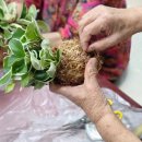 수태마을회관 이미지