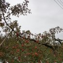 마한농장 이미지