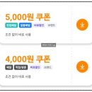 처갓집 양념치킨(송강점) | 처갓집 양념치킨 메뉴 추천 슈프림 순살 할인