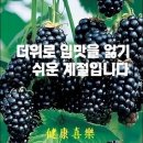 금실