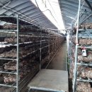 장연농장 이미지