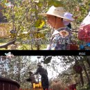 김인석농장 이미지