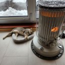 세모부동산공인중개사사무소 이미지