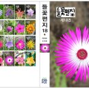 들꽃편지 이미지