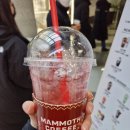 매머드커피익스프레스에이스청계