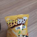 더리터에코자이점