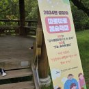 장수풍뎅이 애벌레 키우기, 붉은오름 숲체험