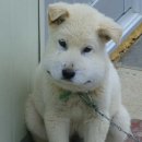 더블엠구강악안면외과치과의원 이미지