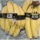 롯데쇼핑(주) 롯데마트사업본부 | 식약처 식품회수 - 산양유요거트, 롯데마트 바나나