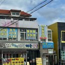 월정뷰게스트하우스코난비치대여점 | 제주 코난비치 스노쿨링 대여 코난해변 온수샤워장 스노클링 파라솔 대여점 월정뷰게스트하우스 추천