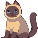 오늘더예쁜눈(오늘The예쁜눈) 이미지