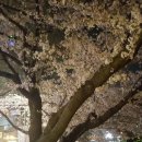 부산시립정신병원 이미지