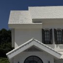 🌿🏛️ 청주웨딩홀 벨리스웨딩홀 - 4/ 보타닉홀후기 / 결혼 본식후기 ⭕️ 공유