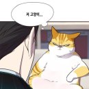 헤어라떼 이미지