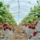 강천산(광주) 이미지