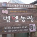 벧엘농장2 이미지