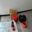 가르송플랜트