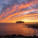 제주인하우스펜션 | 여자 혼자 떠나는 제주도 3박4일 여름휴가 일정 총정리