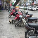성룡축산 네이버블로그