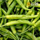 고추 - 여수시 여문문화2길 36 | 고추