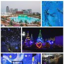 인재숲협동조합 이미지