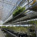 대림가든 이미지