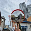 청초호유원지(중앙) | 속초러닝코스 추천, 영랑호 러닝코스 5km, 청초호 러닝코스 5km 후기