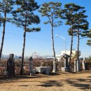 시립박물관 야외공연장 이미지