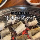 힘센장어.꼼장어