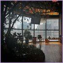 친친아로마 | 영통역 마사지 친친마사지에서 받은 전신 스포츠 관리 후기와 아로마 힐링 이야기