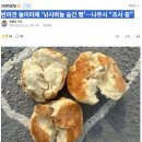 나주낚시 이미지