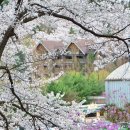 하얀풍경 이미지