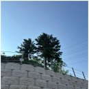 적셔 | 자연 속 고요함이 마음까지 적셔주는 가평글램핑 후기 가져왔습니다