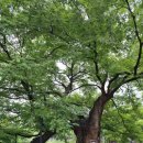 성복1로54번길 이미지