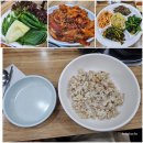 향토보리밥집 | 평택 고덕 주변 나물 보리밥 제육 맛집 향토 보리밥집