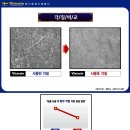 $$$$$모공축소 빅토리아 에그팩 비누 말레이지아 판매$$$$$$$$$$ 이미지